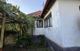 Casa de vanzare, 295 mp, teren 3.596 mp, zoan Hondol