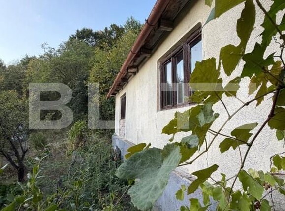 Casa de vânzare 4 camere Hondol - 206449CV | BLITZ Deva | Poza2