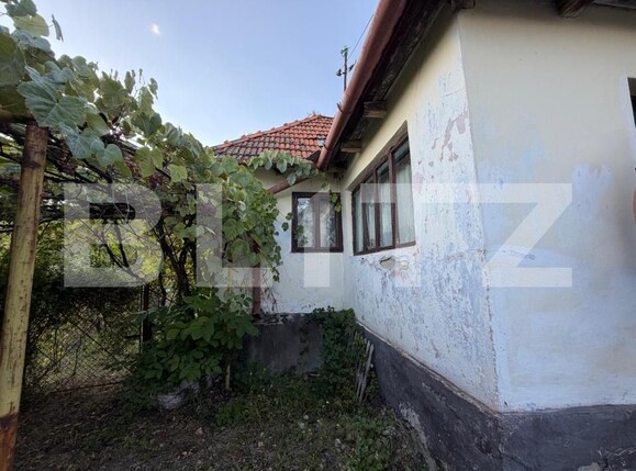 Casa de vânzare 4 camere Hondol - 206449CV | BLITZ Deva | Poza4