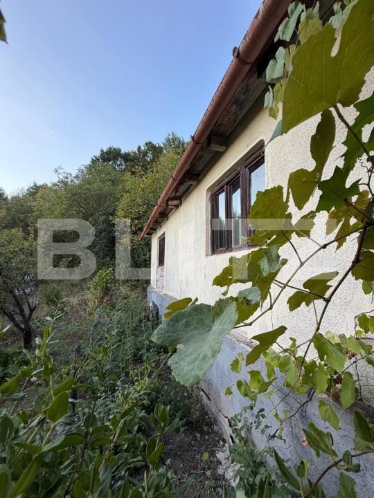 Casa de vânzare 4 camere Hondol - 206449CV | BLITZ Deva | Poza2