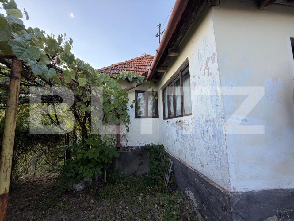 Casa de vânzare 4 camere Hondol - 206449CV | BLITZ Deva | Poza4