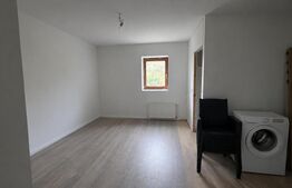 Casă cu teren in Sibișel