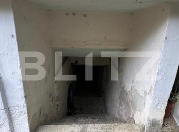 Casa de vânzare 6 camere Sibisel (Beriu) - 206720CV | BLITZ Deva | Poza10