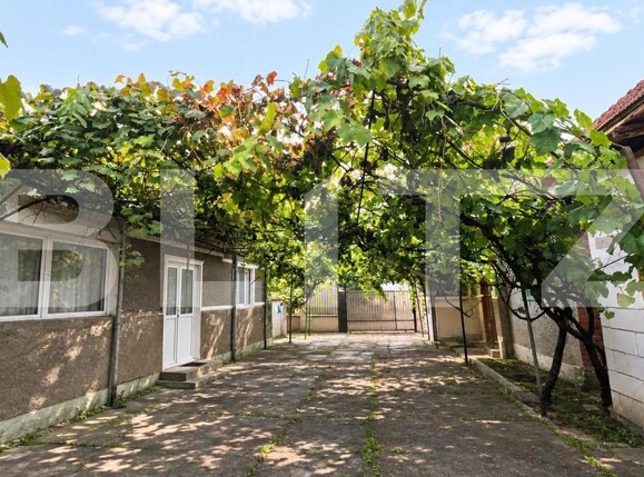Casa de vânzare 6 camere Sibisel (Beriu) - 206720CV | BLITZ Deva | Poza7