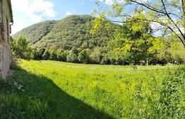 Teren intravilan 10.000 mp cu casă | Mada – Cheile Măzii
