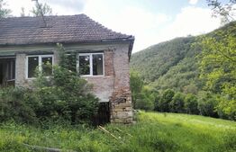 Teren intravilan 10.000 mp cu casă | Mada – Cheile Măzii