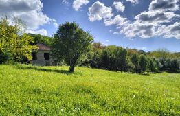 Teren intravilan 10.000 mp cu casă | Mada – Cheile Măzii