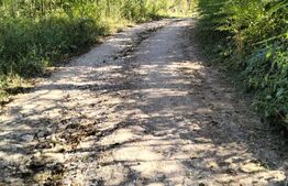 Teren intravilan 10.000 mp cu casă | Mada – Cheile Măzii