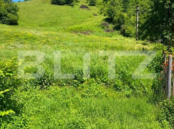 Teren de vânzare Barbura - 206994TV | BLITZ Deva | Poza1