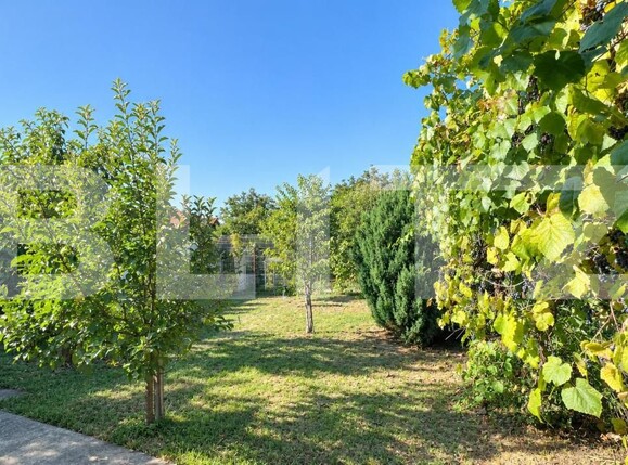 Casa de vânzare 7 camere Orastie - 207232CV | BLITZ Deva | Poza5