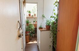 Apartament 3 camere, 46 mp, zona Gojdu 