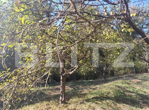 Casa de vânzare 5 camere Cigmau - 207632CV | BLITZ Deva | Poza8