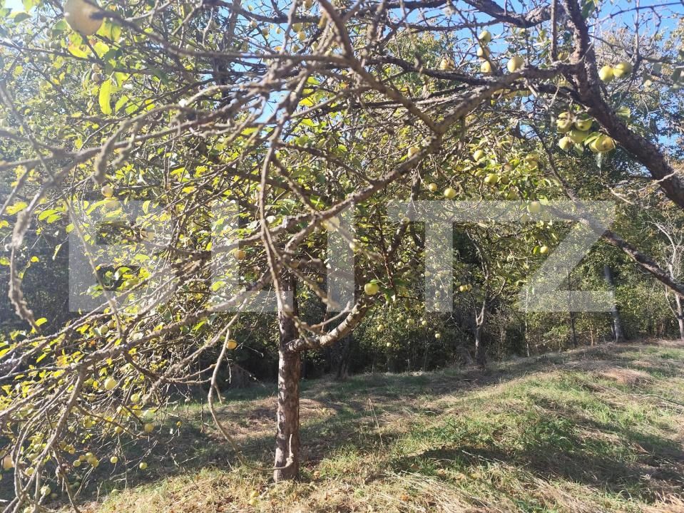 Casa de vânzare 5 camere Cigmau - 207632CV | BLITZ Deva | Poza8