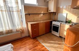 Garsonieră de vânzare, 28 mp, zona Centrală