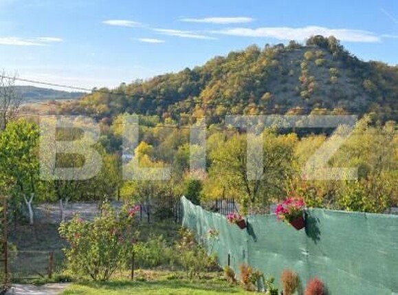 Casa de vânzare 5 camere Paulis - 207927CV | BLITZ Deva | Poza9