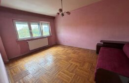 Apartament de vânzare, 50 mp, zona Sud
