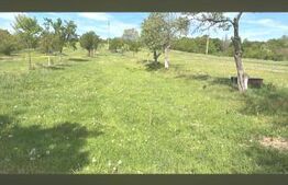 🏡 Teren intravilan de vânzare – 1.994 mp | Ormindea, jud. Hunedoara
