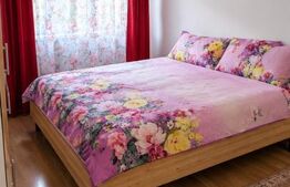 Apartament cu 2 camere situat în zona PIATA CENTRALA -DEVA MALL 