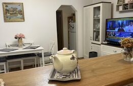 Apartament cu 2 camere situat în zona PIATA CENTRALA -DEVA MALL 