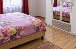 Apartament cu 2 camere situat în zona PIATA CENTRALA -DEVA MALL 