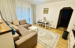 Apartament cu 2 camere situat în zona PIATA CENTRALA -DEVA MALL 
