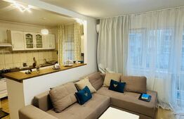 Apartament cu 2 camere situat în zona PIATA CENTRALA -DEVA MALL 
