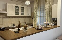 Apartament cu 2 camere situat în zona PIATA CENTRALA -DEVA MALL 