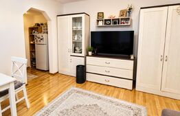 Apartament cu 2 camere situat în zona PIATA CENTRALA -DEVA MALL 