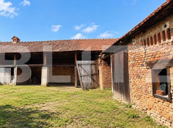 Casa de vânzare 4 camere Ludestii de Jos - 208215CV | BLITZ Deva | Poza8