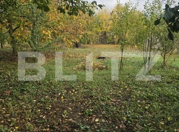 Casa de vânzare 3 camere Simeria - 208408CV | BLITZ Deva | Poza7