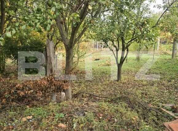 Casa de vânzare 3 camere Simeria - 208408CV | BLITZ Deva | Poza8