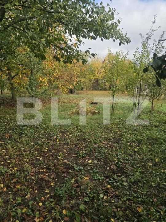 Casa de vânzare 3 camere Simeria - 208408CV | BLITZ Deva | Poza7