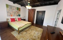 Casă cu istorie din 1914, renovată, curte amenajată deosebit, Băcia