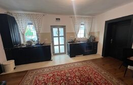 Casă cu istorie din 1914, renovată, curte amenajată deosebit, Băcia