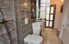 Casă cu istorie din 1914, renovată, curte amenajată deosebit, Băcia