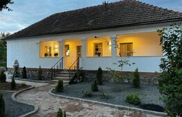 Casă cu istorie din 1914, renovată, curte amenajată deosebit, Băcia