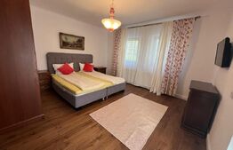 Casă cu istorie din 1914, renovată, curte amenajată deosebit, Băcia