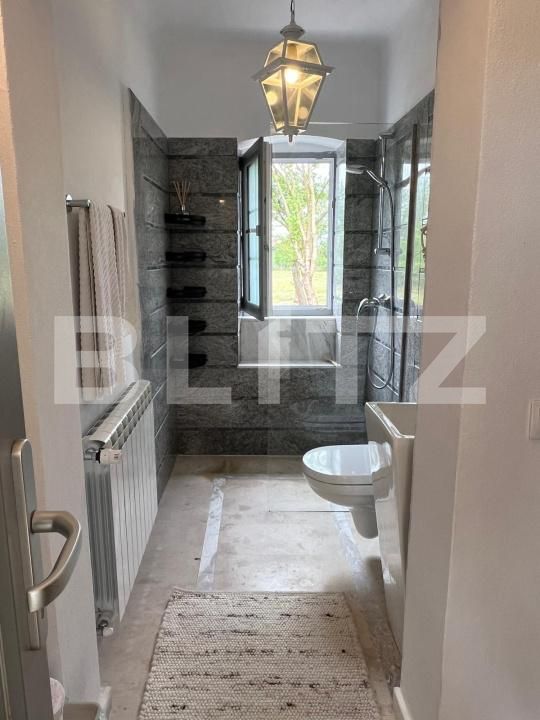 Casa de vânzare 3 camere Bacia - 208419CV | BLITZ Deva | Poza10