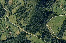 Pădure de foioase- 30.865 m² – teren de vânzare, Târsa