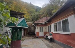 Casa de vânzare 3 camere Simeria - 208408CV | BLITZ Deva | Poza1