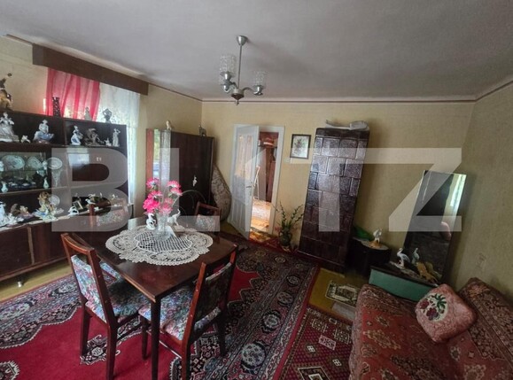 Casa de vânzare 3 camere Aurel Vlaicu - 208564CV | BLITZ Deva | Poza24