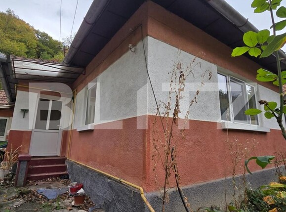 Casa de vânzare 3 camere Aurel Vlaicu - 208564CV | BLITZ Deva | Poza2