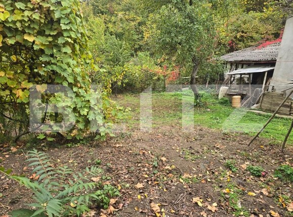 Casa de vânzare 3 camere Aurel Vlaicu - 208564CV | BLITZ Deva | Poza6