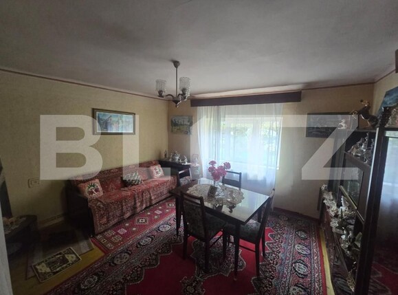 Casa de vânzare 3 camere Aurel Vlaicu - 208564CV | BLITZ Deva | Poza23