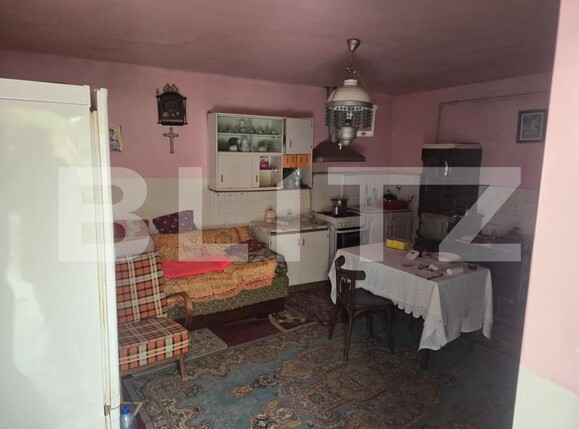 Casa de vânzare 3 camere Aurel Vlaicu - 208564CV | BLITZ Deva | Poza10