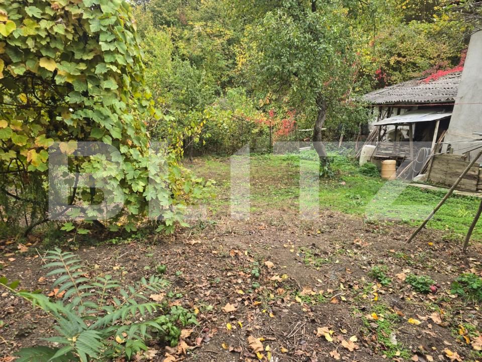 Casa de vânzare 3 camere Aurel Vlaicu - 208564CV | BLITZ Deva | Poza6