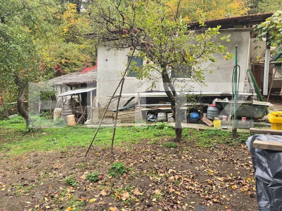 Casa de vânzare 3 camere Aurel Vlaicu - 208564CV | BLITZ Deva | Poza5