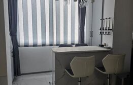 Garsonieră de vânzare, 25 mp, zona Centrala