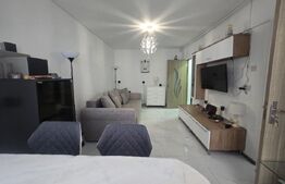 Garsonieră de vânzare, 25 mp, zona Centrala