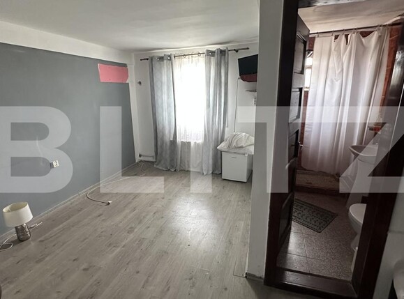 Spațiu comercial de vânzare Geoagiu - 209046SVC | BLITZ Deva | Poza7